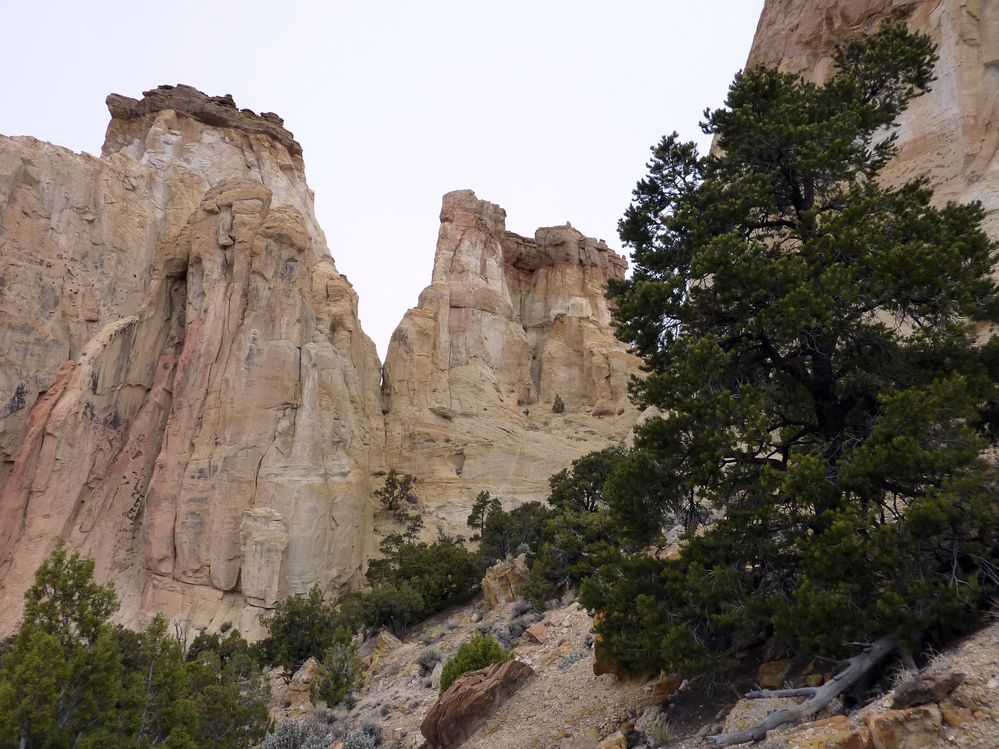 Grand Staircase - Escalante (30).JPG
